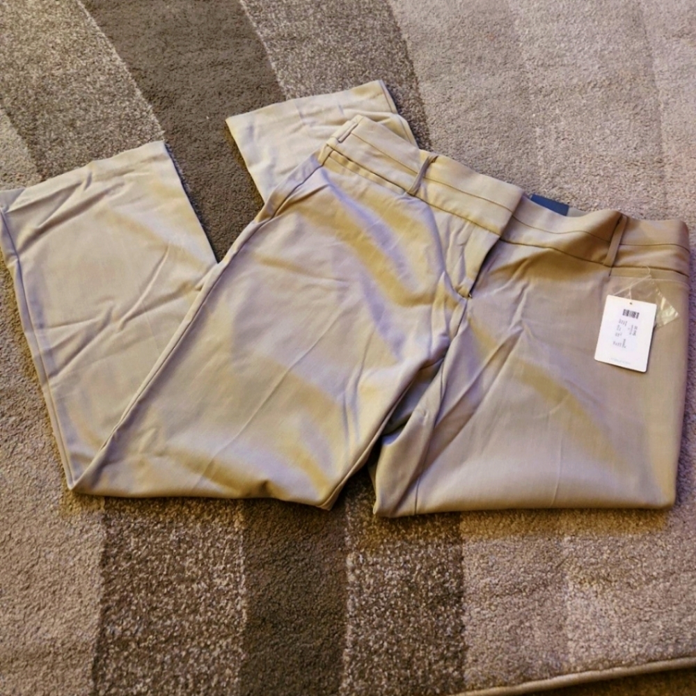 Maurices smart boot cut reg length size 18